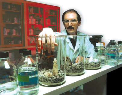 Ed Michaud observes the activity of normal and mutant mice in large beakers at the Mouse House