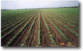 photo of agricultural field