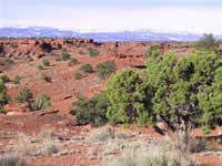 View of Dixie National Forest from Capitol Reef National Park.
