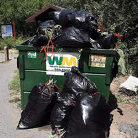 bags of weeds collected by the Cottonwood Canyons Foundation volunteers sitting in a trash dumpster.