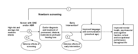 Flow chart of the UNHS analytic framework and key questions. For details, go to [D] Text Description.