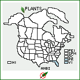 Distribution of Andropogon bicornis L.. . 