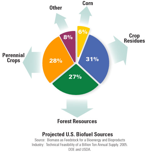 Image of pie chart detailing Projected U.S. Biofuels Sources per the Biomass as a Feedstock for a Bioenergy and Bioproducts Industry: Technical Feasibility of a Billion Ton Annual Supply (2005, DOE and USDA):  Crop Residues, 31%. Forest Residues, 27%. Perennial Crops, 28%. Other, 8%. Corn, 6%.