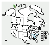 Distribution of Vaccinium hirsutum Buckley. . 