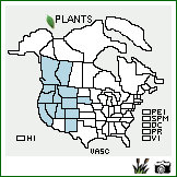 Distribution of Vaccinium scoparium Leiberg ex Coville. . Image Available. 