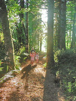 Multi-use trail sign