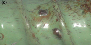 In an ECR containing coating blisters and hairline coating cracks (c), the color are rusty and brown instead of green.