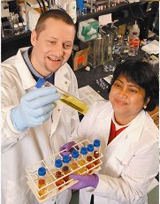 A plant physiologist and research chemist look at various plant extracts to analyze phytotoxins.