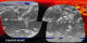 This animation shows 29 orbits (2 days) of CERES measurements of outgoing shortwave radiation, from June 20-21, 2003.  The measurements are superimposed over a global infrared cloud cover composite from the same period.