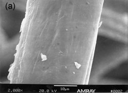 scanning electron micrograph showing (a) a virgin polypropylene fiber