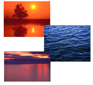 water collage
