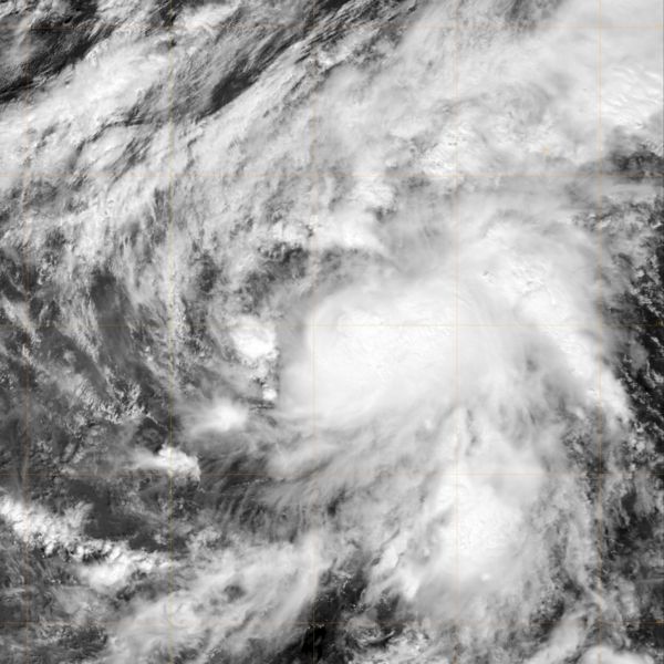 TS Norman