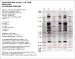 Calibrated Gel Image