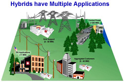 Hybrids have Multiple Applications