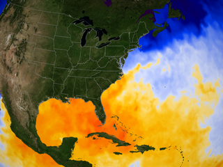 Sea surface temperature in the Gulf of Mexico and the Atlantic on 2007-08-01.