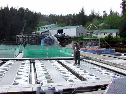 photo of vertical raceways at Little Port Walter field station