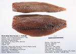 Albacore Fillet image