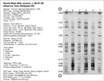 PAGPlate IEF Gel image