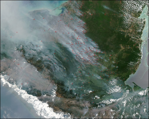 Smoke Billows from Fires in the Yucatan