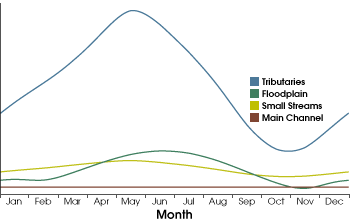 Graph of Water Area over Time