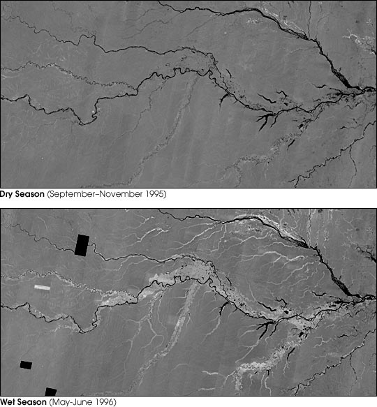 Radar Maps of Flooded Areas of the Amazon