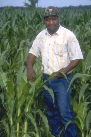African American farmer