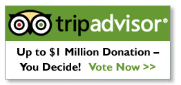 Trip Advisor-Up to One Million Donation You Decide