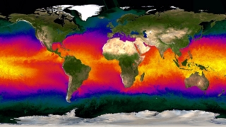 This animation shows the sea surface temperature for the first part of 2005.