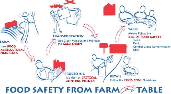 Farm-to-Table illustration. Farm to Processing to
Transportation to Retail to Table. Line drawings of Farmer,
Processor, Shipper, Retailer and Family at Table.