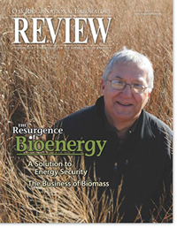 The Resurgence of Bioenergy