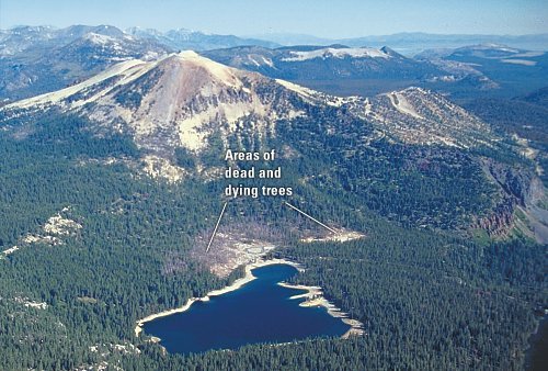 Aerial view of Mammoth Mountain and tree kill area near Horseshoe Lake, California