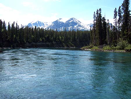 Sampling location on the Atlin River.