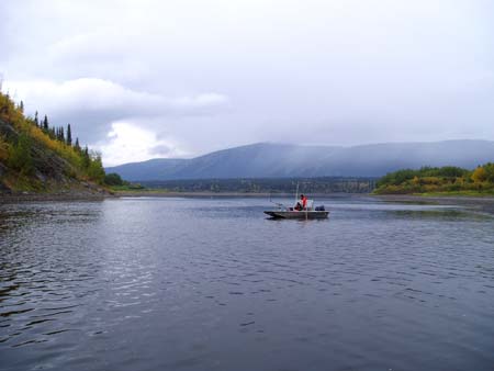 Sampling the Forty Mile River.