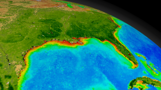 This animation begins with a wide shot of the United States and zooms down to the Gulf of Mexico while cycling through nearly ten years of SeaWiFS biosphere data.