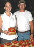 Irene and Jim Story, owners of Story Farm, display some fresh strawberries they sell at a fruit stand near the farm -- the Storys are proud to be participants in the Greenville Central School's Farm-to-School program