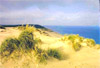 Indiana Dunes on the southeastern shore of Lake Michigan