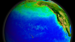 Print resolution picture of SeaWiFS global biosphere over the North Pacific.