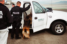 Photo of Salt Lake City VIPR dog searching a pick up truck