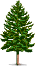 Tree graphic