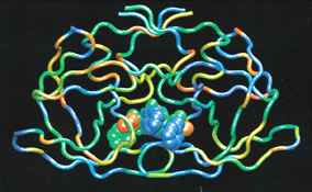 depiction of the molecular interaction drug/proteins