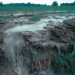 Surface water running off an unprotected farm field [Image courtesy of the Mississippi River/Gulf of Mexico Watershed Nutrient Task Force]