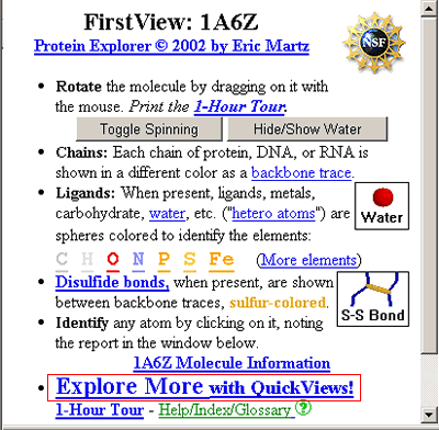 FirstView in Protein Explorer