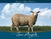 2007 City of San Angelo Annual Report