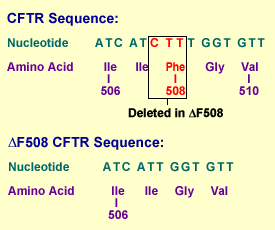 Figure 3: CFTR Mutation