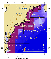 Figure 25.1 Statistical areas used to define the northeast segment of the coastal bluefish stock.