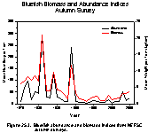 Figure 25.3.  Bluefish abundance and biomass indices from NEFSC autumn surveys.