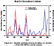 Figure 25.4.  Bluefish recruitment indices for spring and summer cohorts from NEFSC autumn surveys.