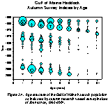 Figure 2.4.  Age structure of the Gulf of Maine haddock population, 1963-2005.