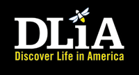 DLIA Logo