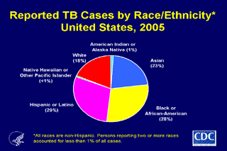 Slide 9: Reported TB Cases by Race/Ethnicity, United States, 2005. Click here for larger image